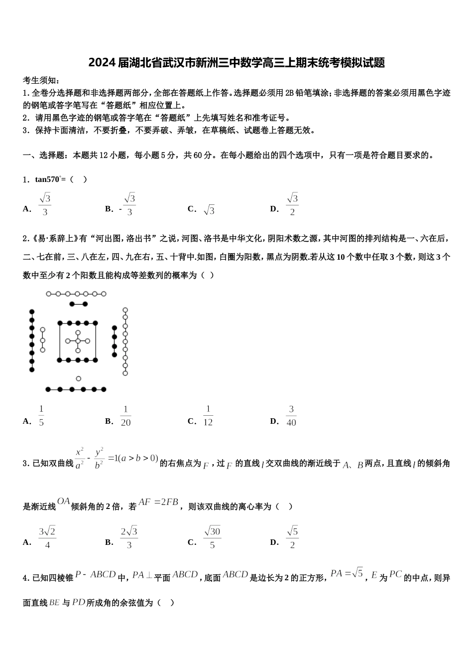 2024届湖北省武汉市新洲三中数学高三上期末统考模拟试题含解析_第1页