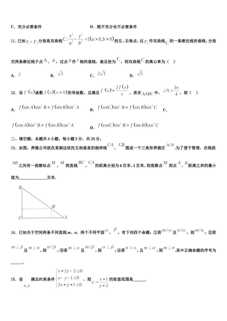 2024届山东省淄博第十中学高三上数学期末调研试题含解析_第3页