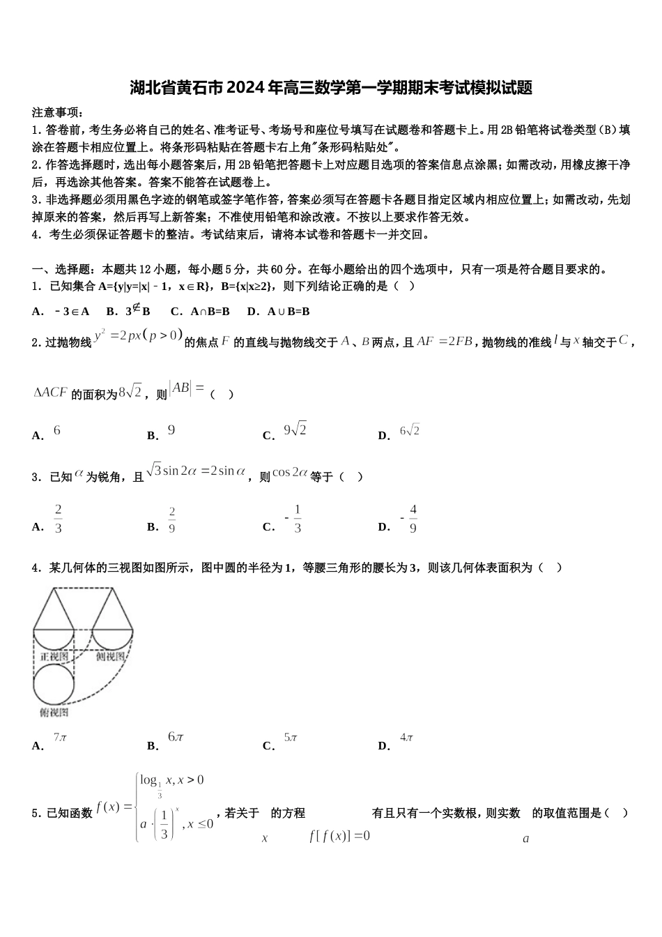 湖北省黄石市2024年高三数学第一学期期末考试模拟试题含解析_第1页