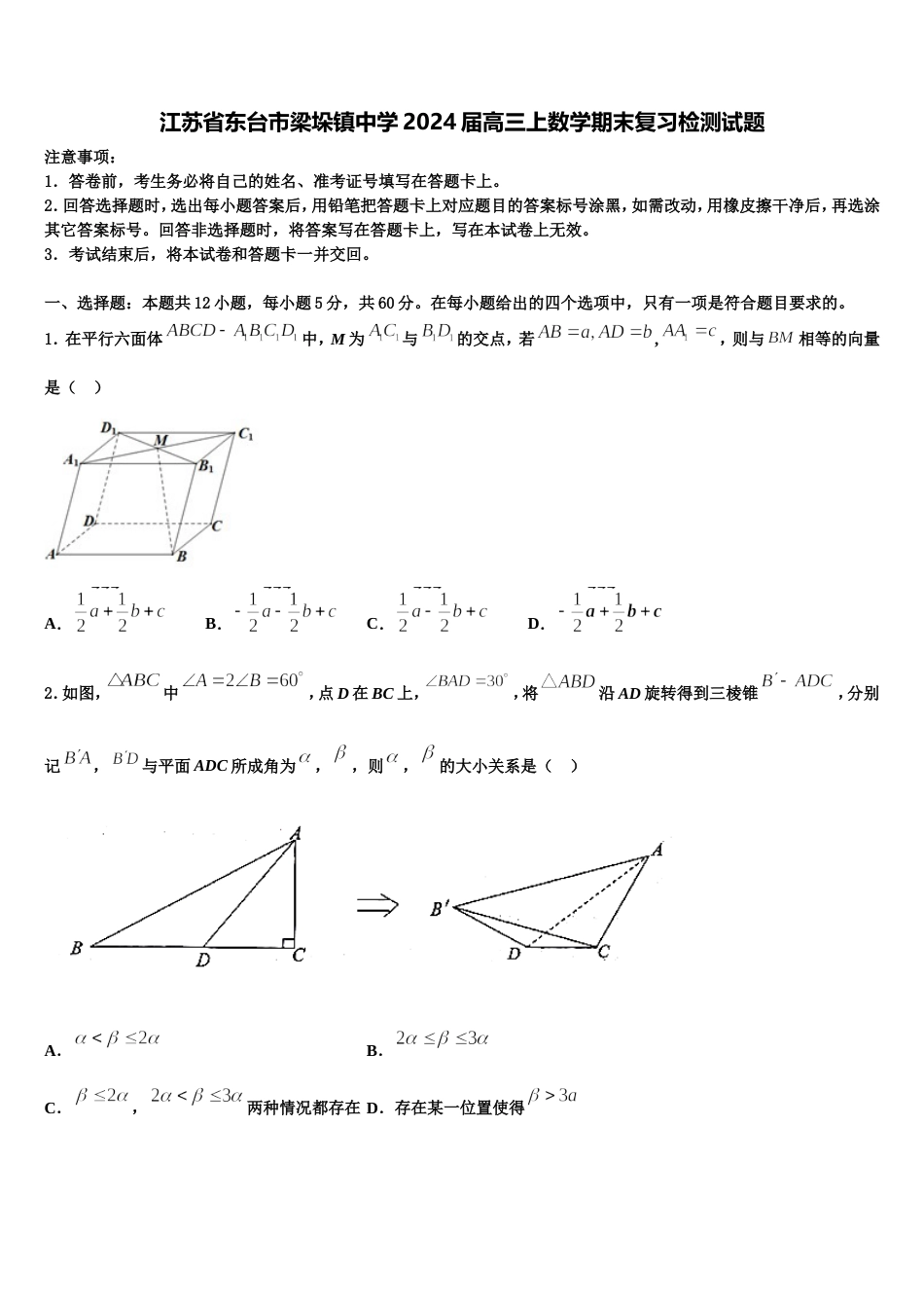 江苏省东台市梁垛镇中学2024届高三上数学期末复习检测试题含解析_第1页