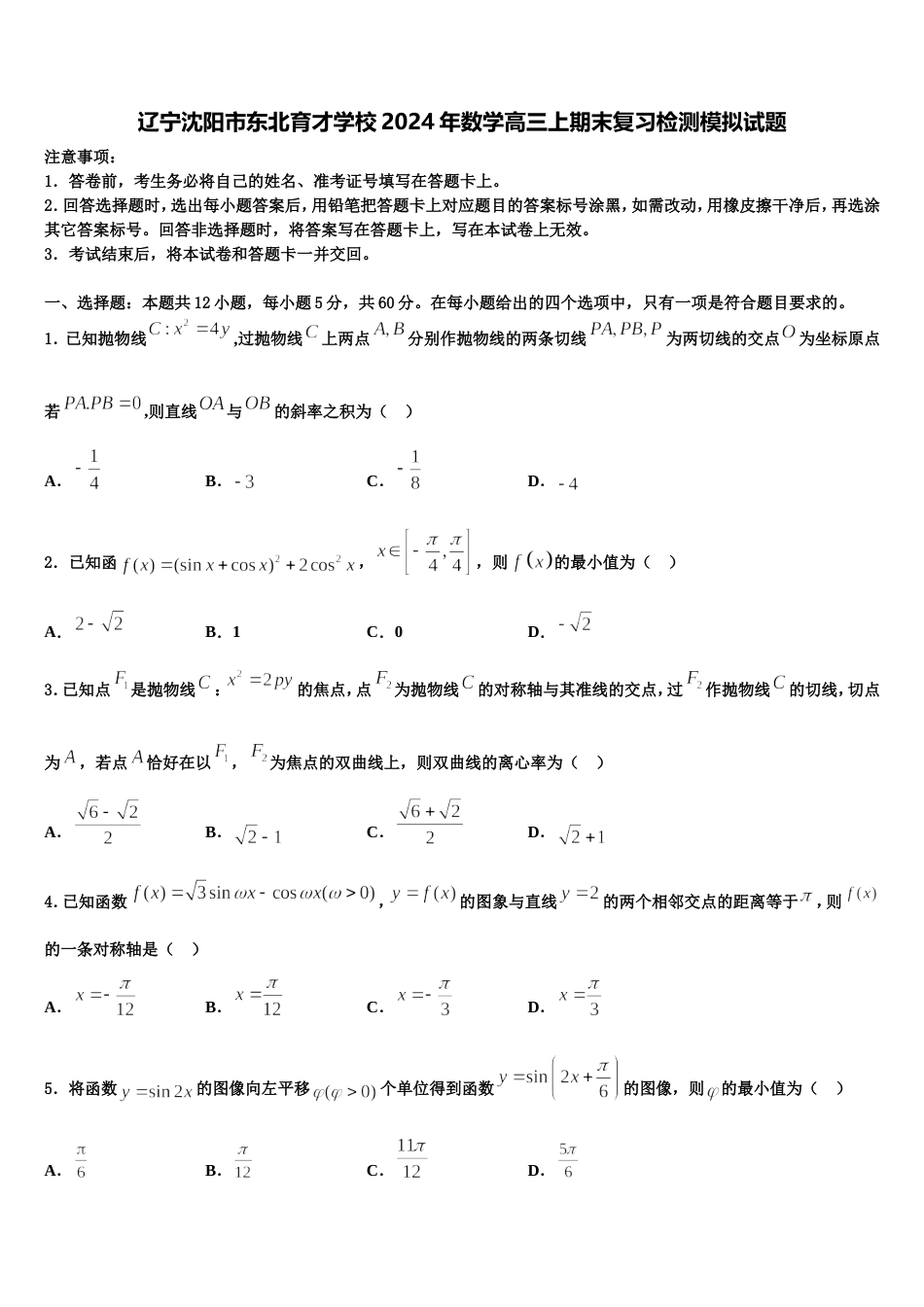 辽宁沈阳市东北育才学校2024年数学高三上期末复习检测模拟试题含解析_第1页