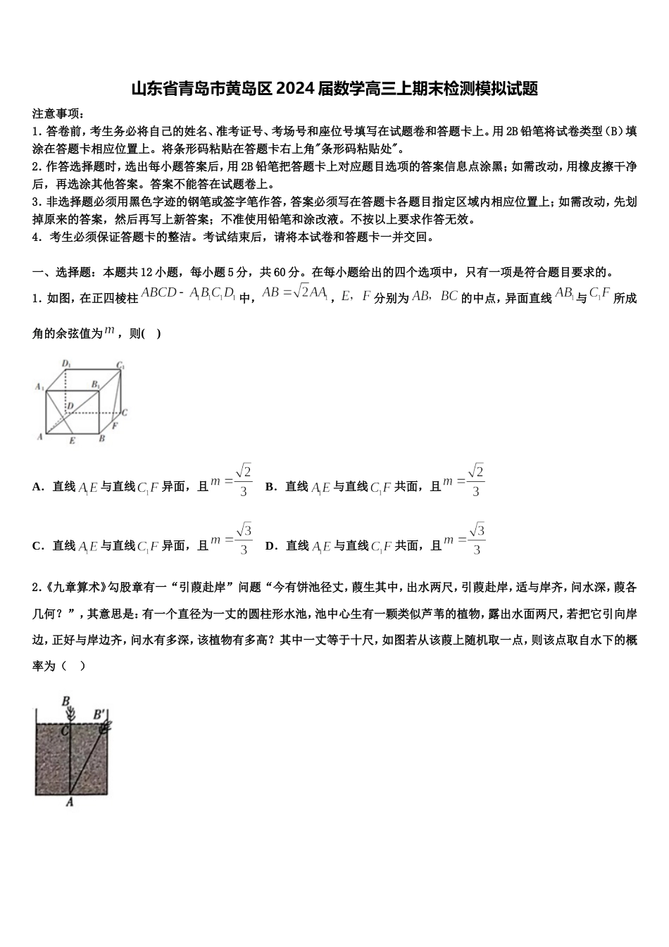 山东省青岛市黄岛区2024届数学高三上期末检测模拟试题含解析_第1页