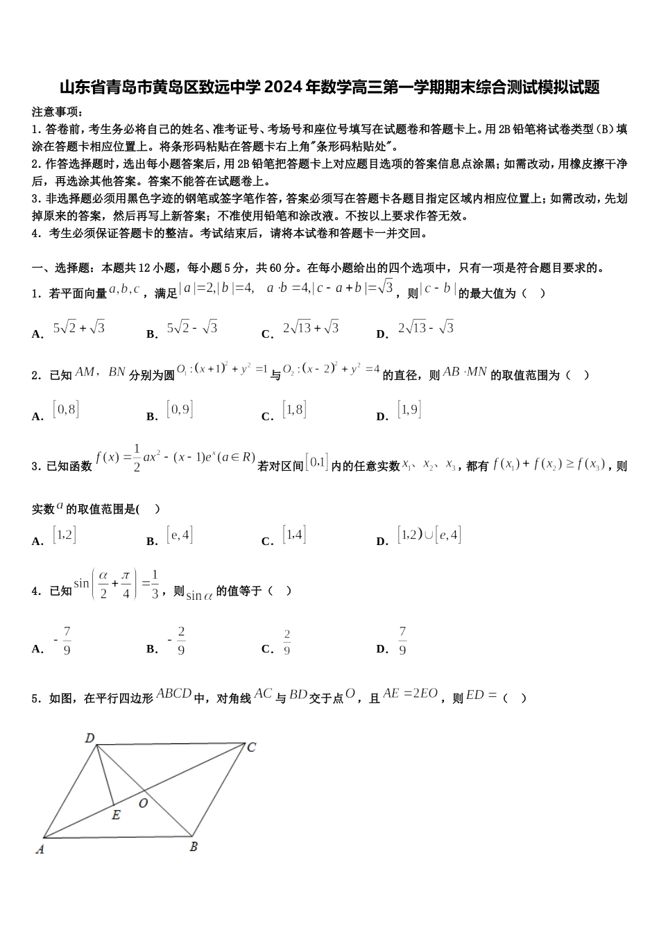 山东省青岛市黄岛区致远中学2024年数学高三第一学期期末综合测试模拟试题含解析_第1页