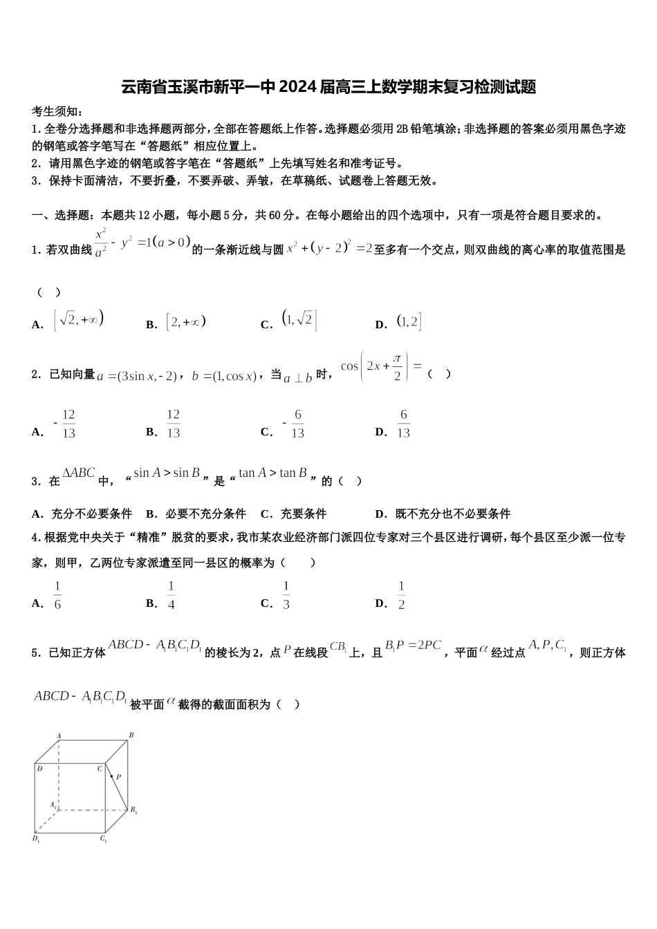 云南省玉溪市新平一中2024届高三上数学期末复习检测试题含解析_第1页