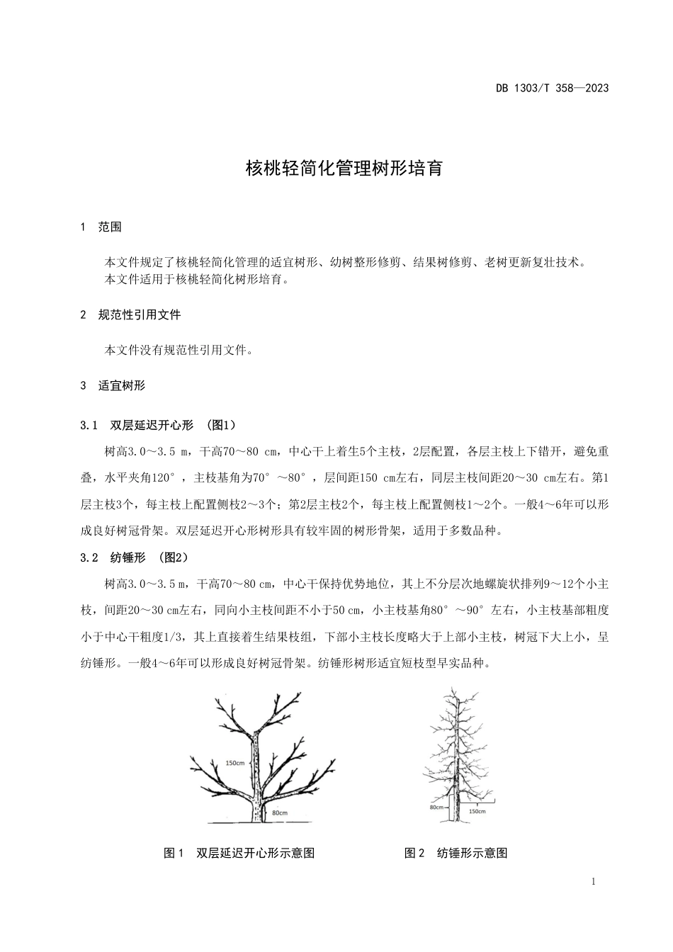 DB1303∕T 358-2023 核桃轻简化管理树形培育_第3页