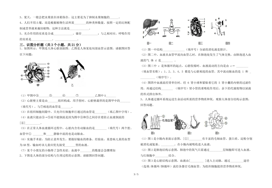 2023年七年级生物上册期末考试卷(一套)_第3页