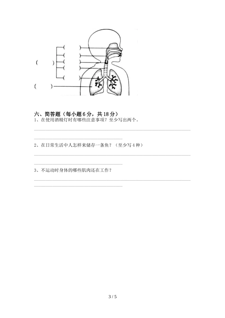 2022-2023年人教版四年级科学上册期末试卷【带答案】_第3页