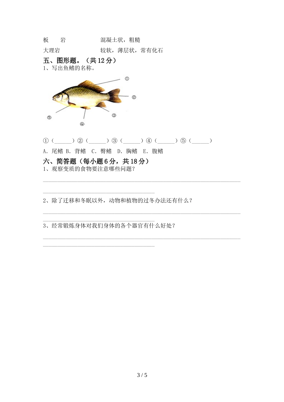 新人教版四年级科学上册期末测试卷(带答案)_第3页