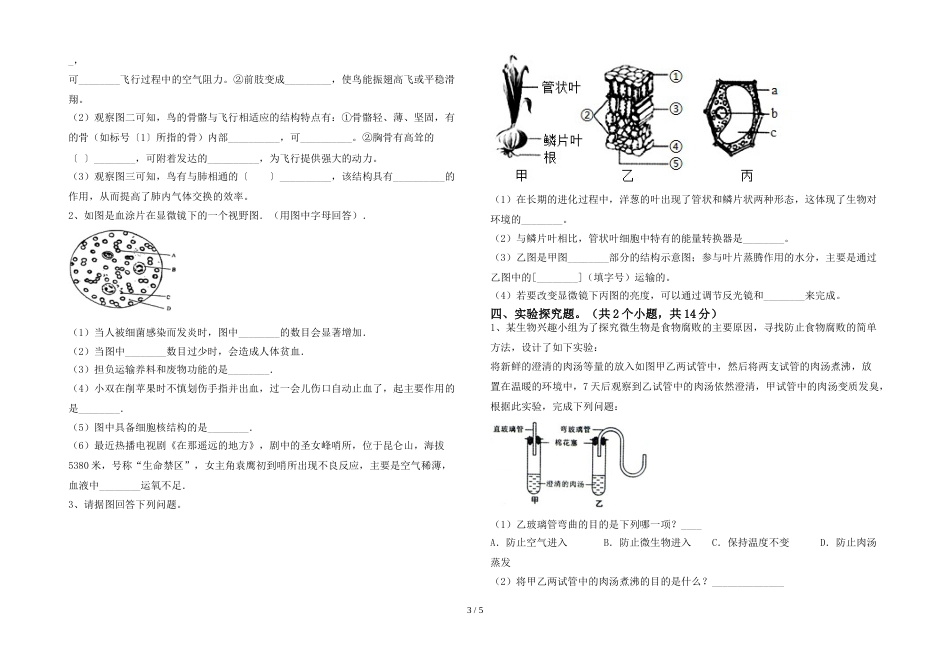 2023年冀教版七年级生物上册期末试卷及答案_第3页