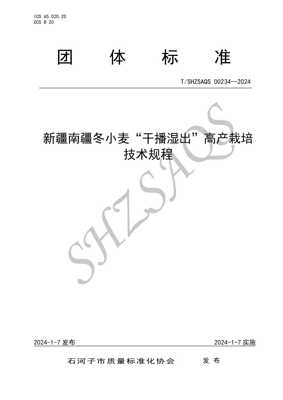 T∕SHZSAQS 00234-2024 新疆南疆冬小麦“干播湿出”高产栽培技术规程_第1页