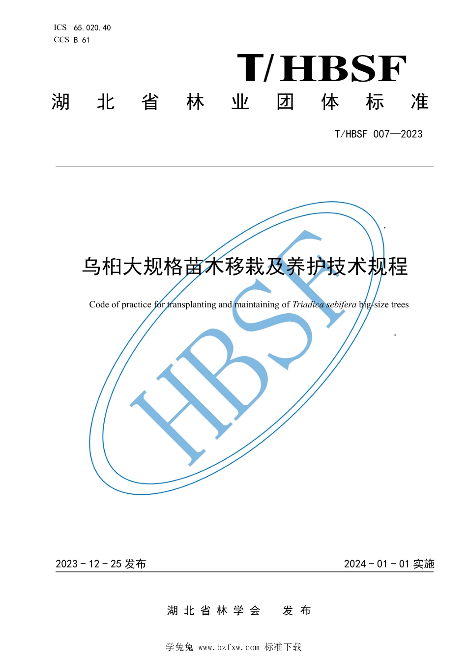 T∕HBSF 007-2023 乌桕大规格苗木移栽及养护技术规程_第1页