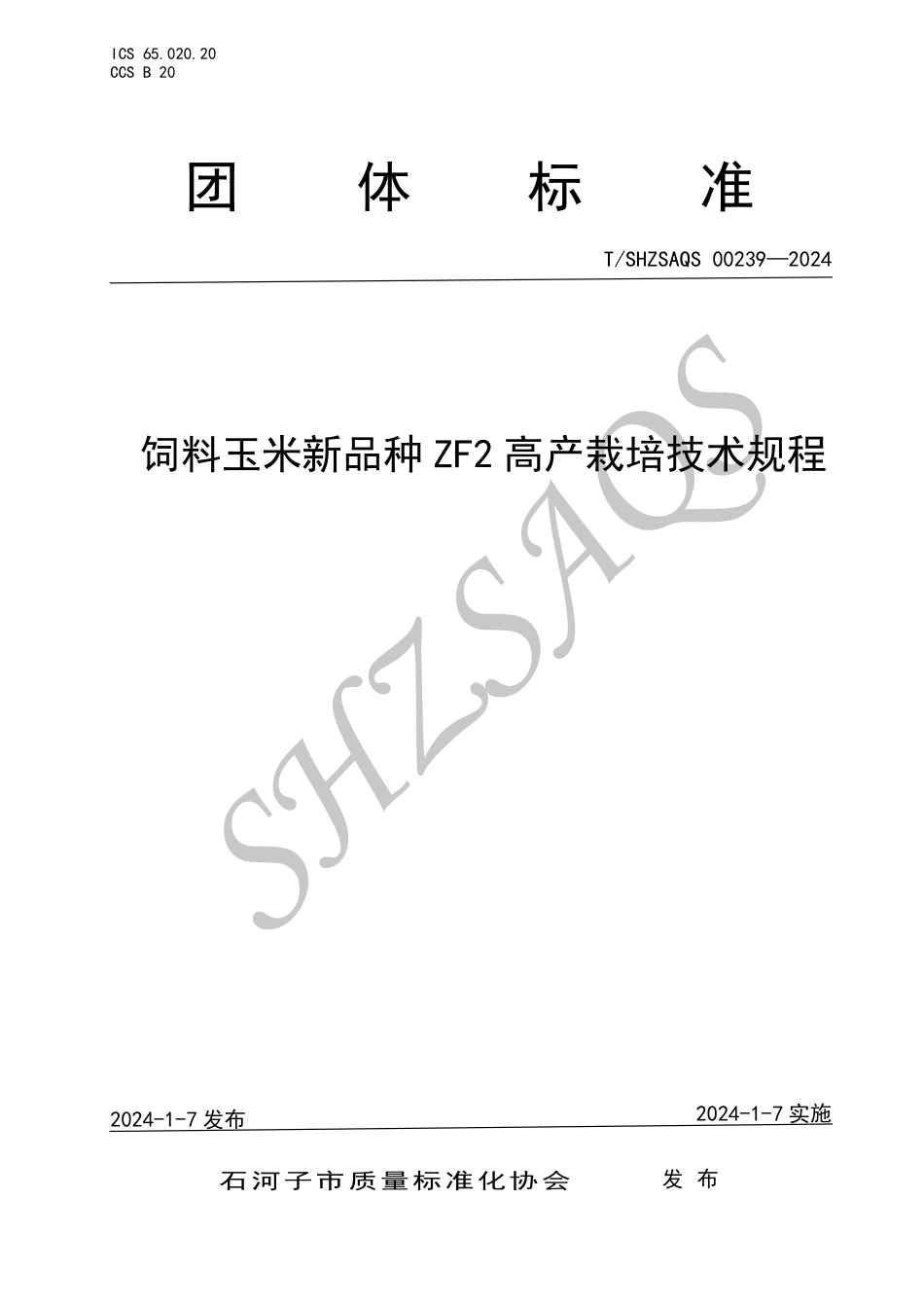 T∕SHZSAQS 00239-2024 饲料玉米新品种ZF2高产栽培技术规程_第1页