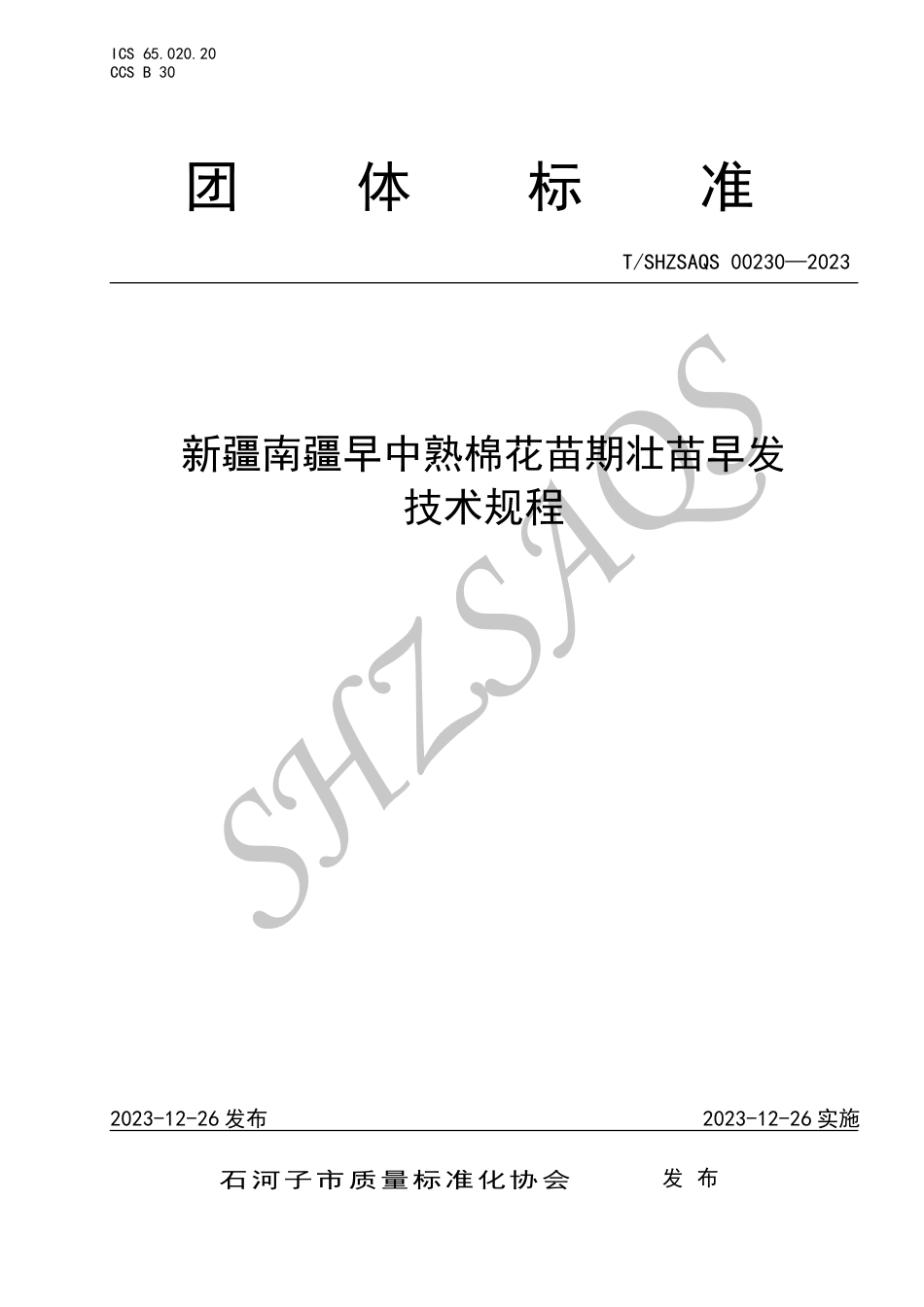 T∕SHZSAQS 00230-2023 新疆南疆早中熟棉花苗期壮苗早发技术规程_第1页