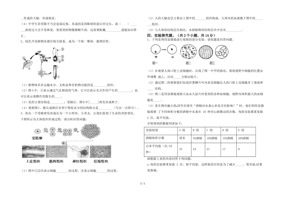 初中七年级生物上册期末试卷及答案【精编】_第3页