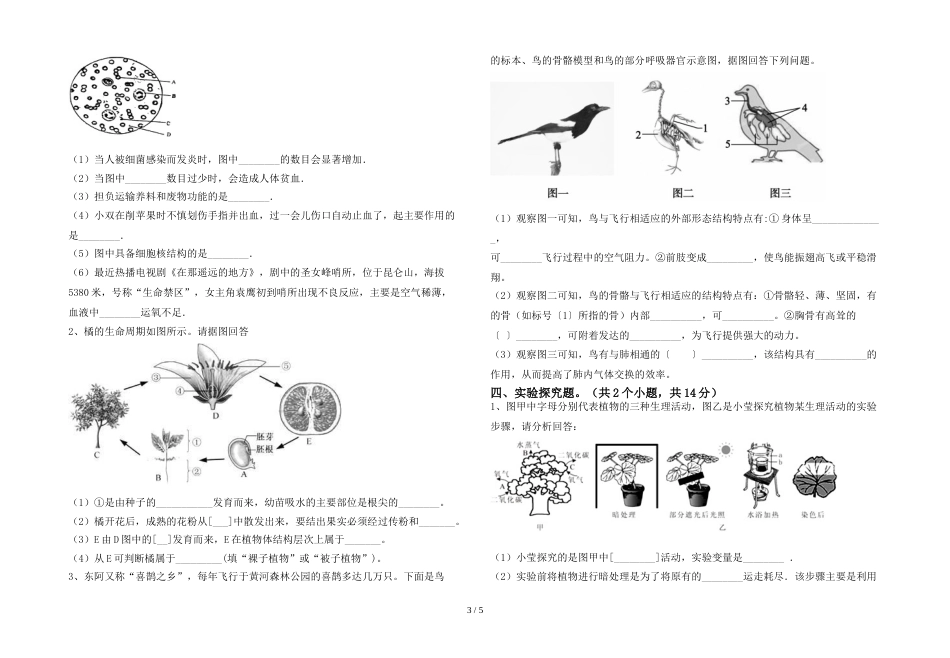 新人教版七年级上册《生物》期末测试卷含答案_第3页