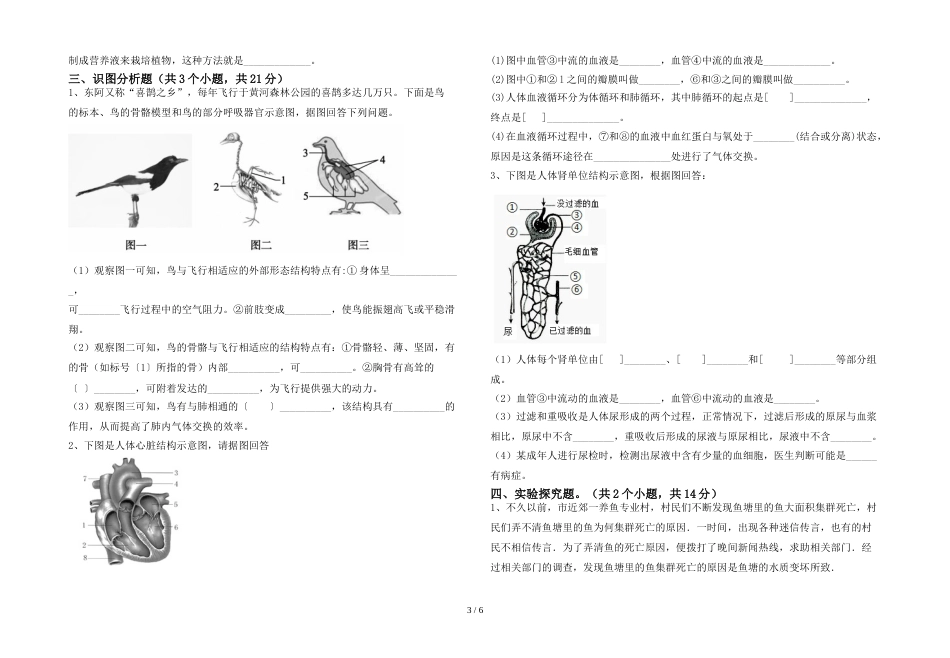 七年级生物上册期末模拟考试附答案_第3页