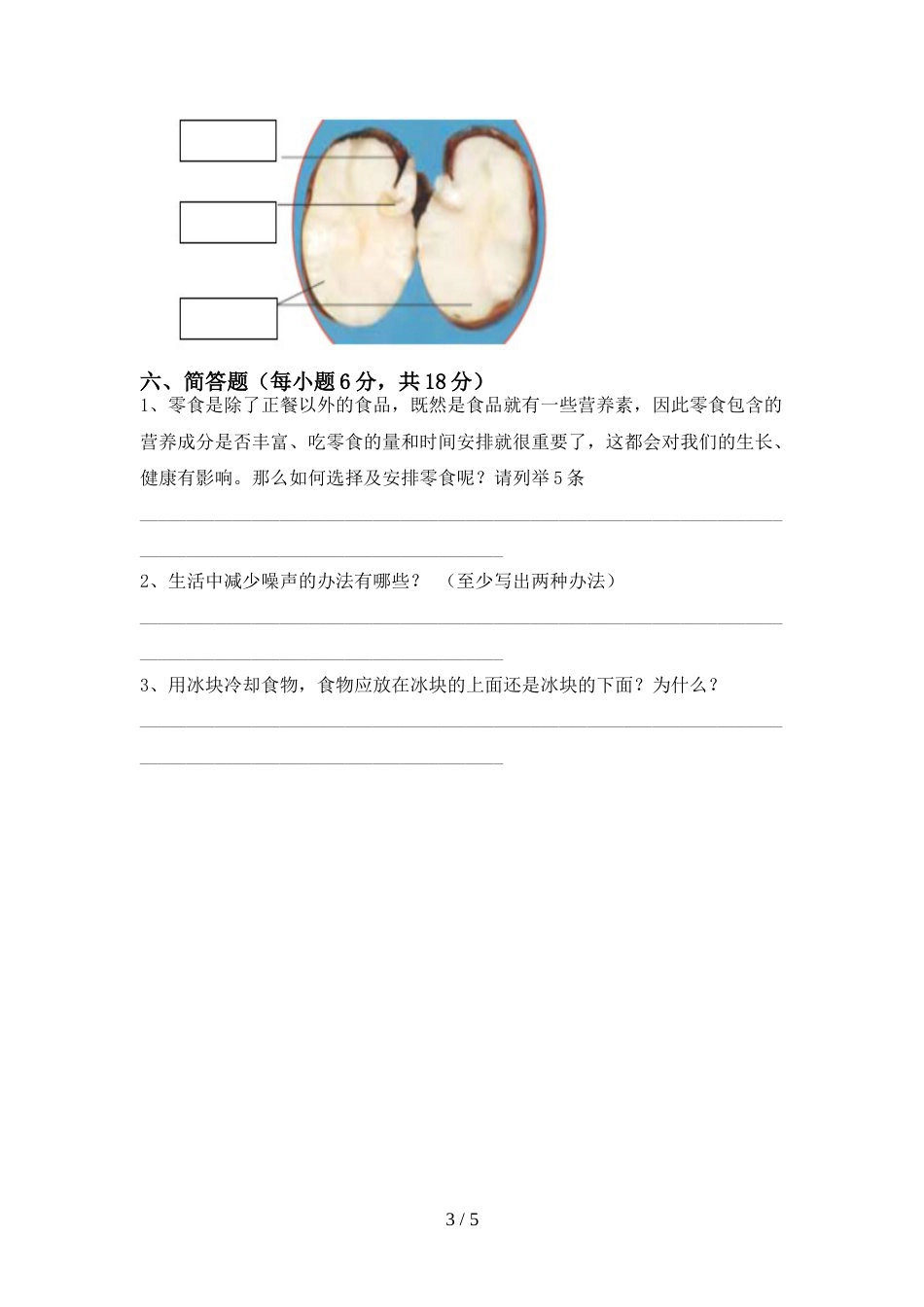 2022年四年级科学(上册)期末试题及答案(下载)_第3页