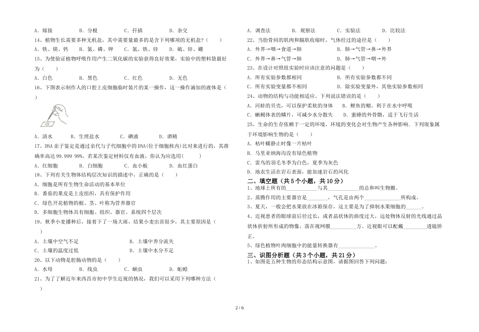 2023年苏教版七年级生物上册期末考试题及答案【A4打印版】_第2页