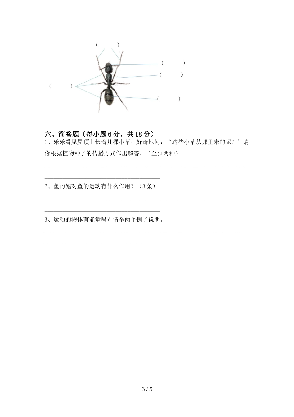 小学四年级科学上册期末考试(完整)_第3页