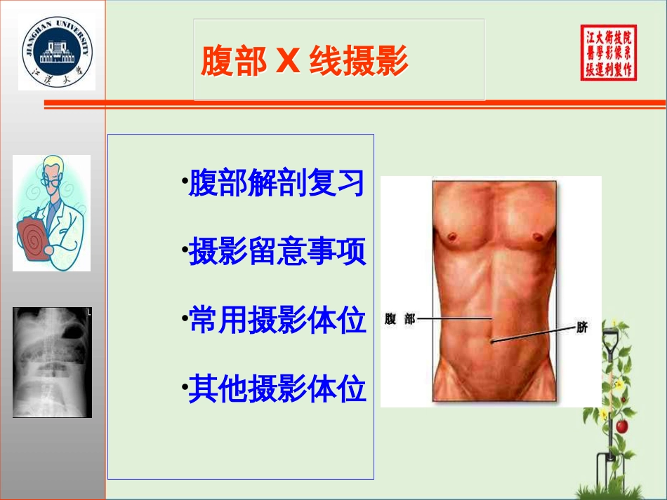 0067X线摄影位置学3腹部骨盆摄影位置汇编_第3页