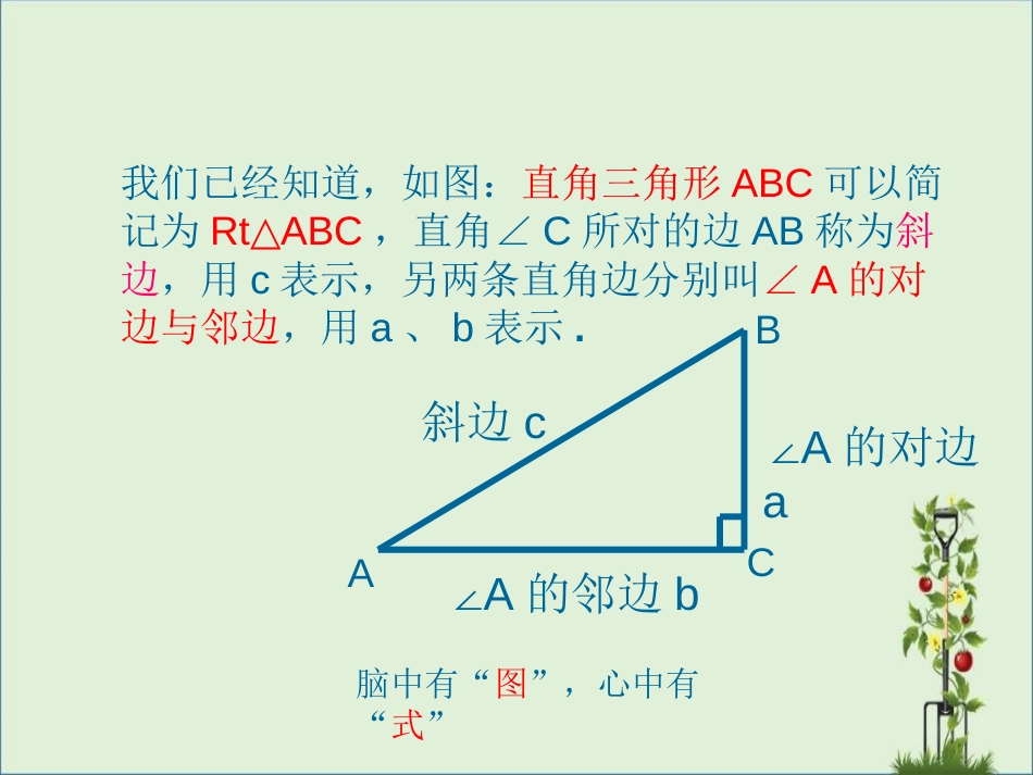 -锐角三角函数定义及性质_第2页