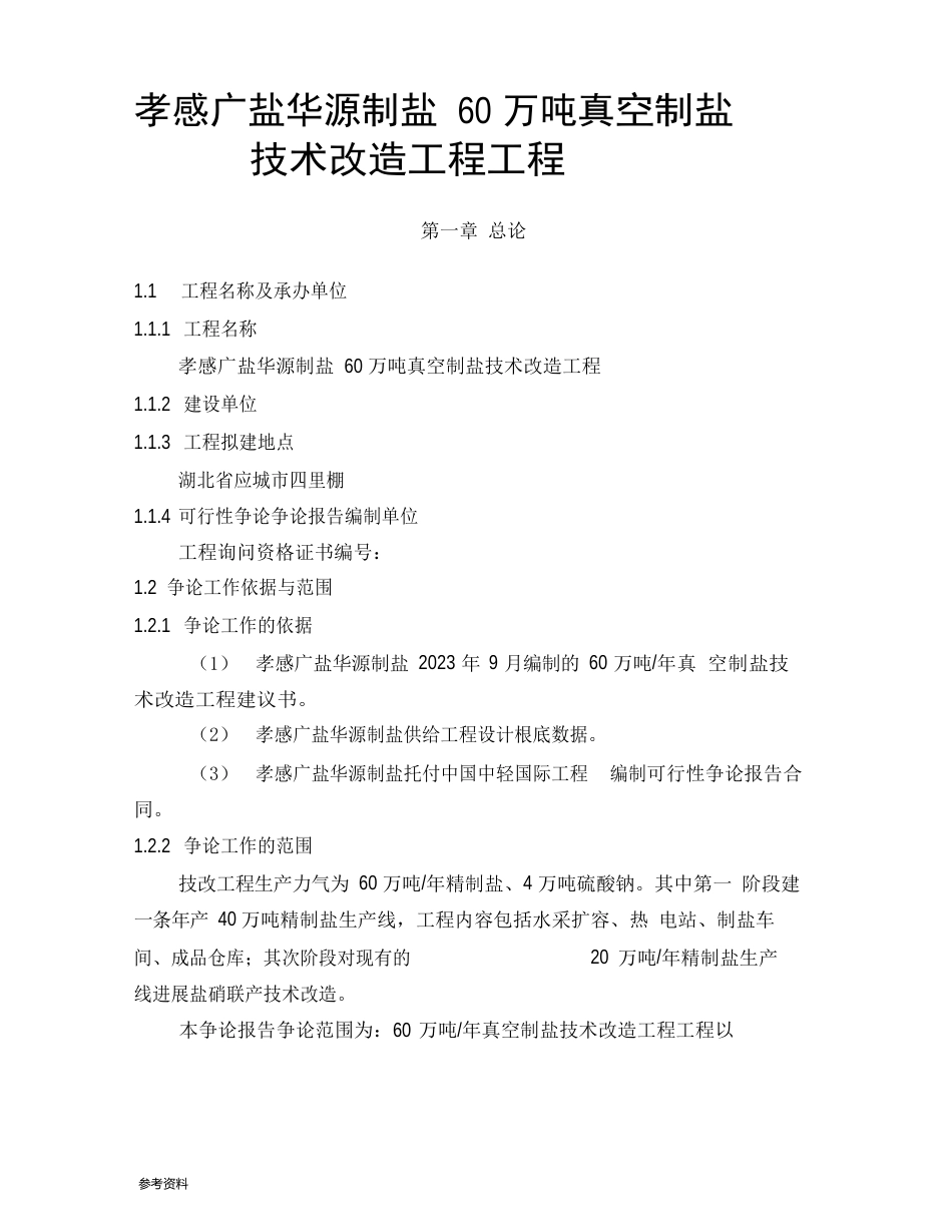 60万吨真空制盐技术改造工程项目可行性实施报告_第1页