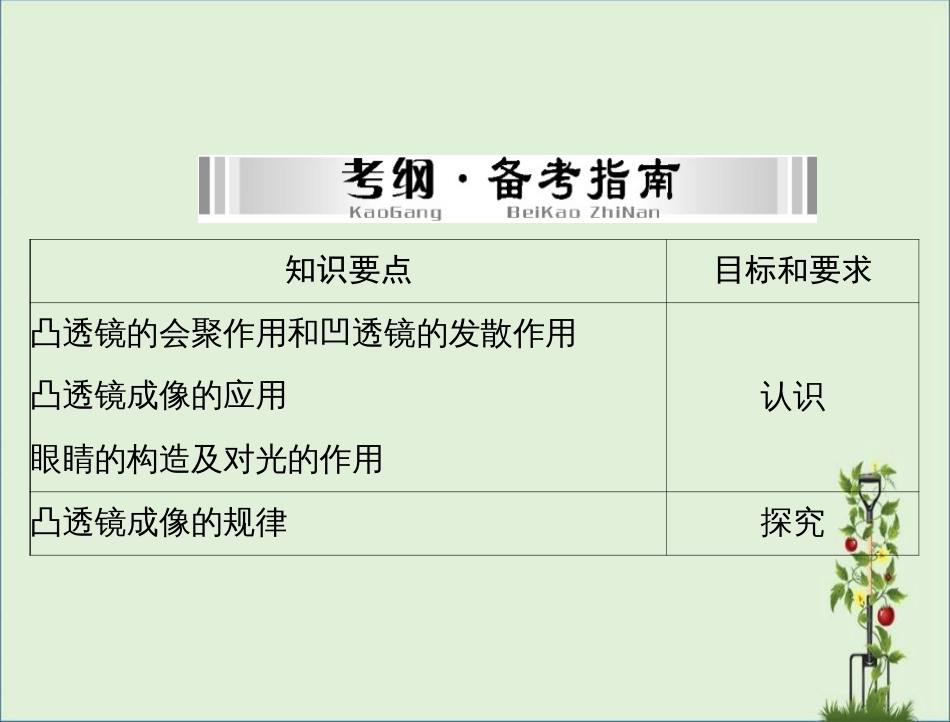 《南方新中考》2014年中考物理专题突破提能训练第一部分第二单元第2讲透镜及其应用解析_第2页