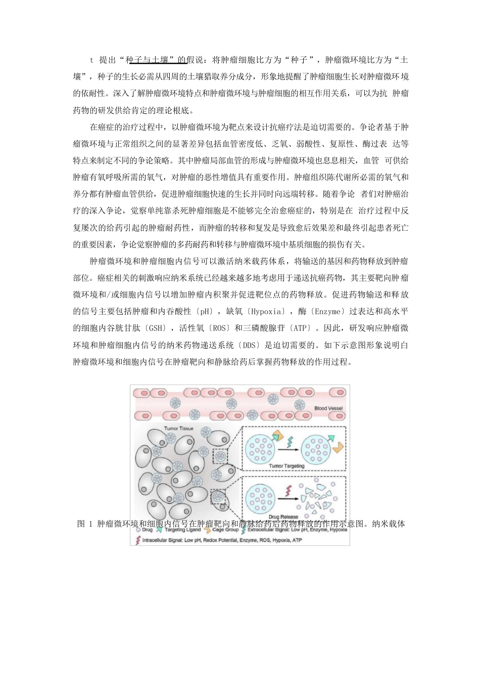 14肿瘤微环境响应型纳米药物载体_第2页