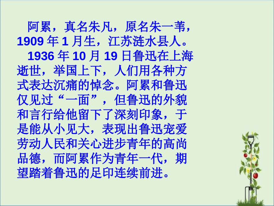 《一面》教学课件_第2页