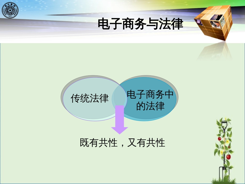 06电子商务法律与税收_第3页