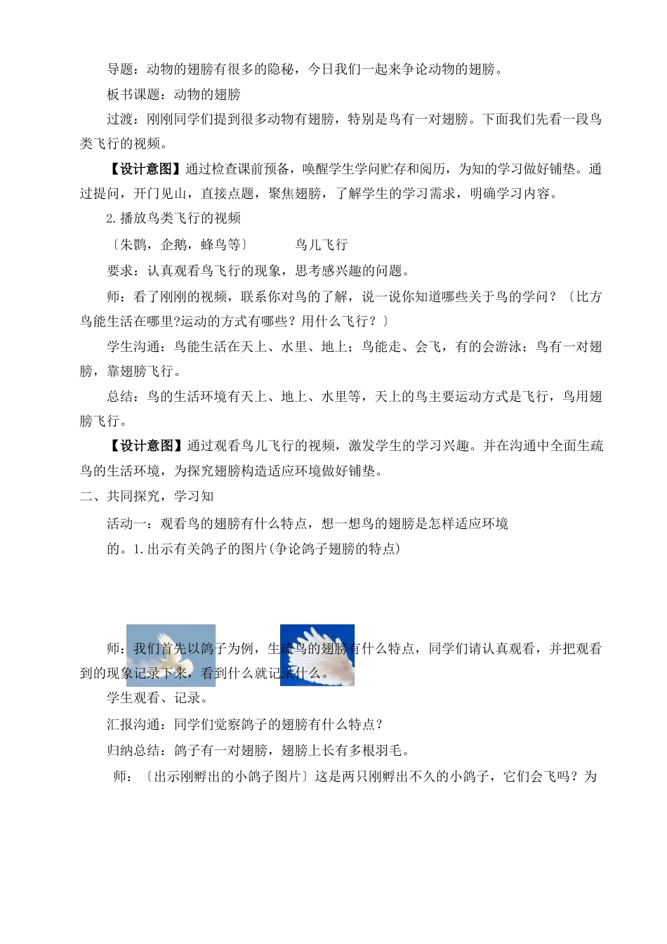 《动物的翅膀》教学设计_第3页
