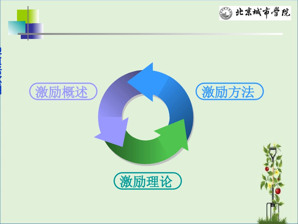 011薪酬设计与管理_第2页