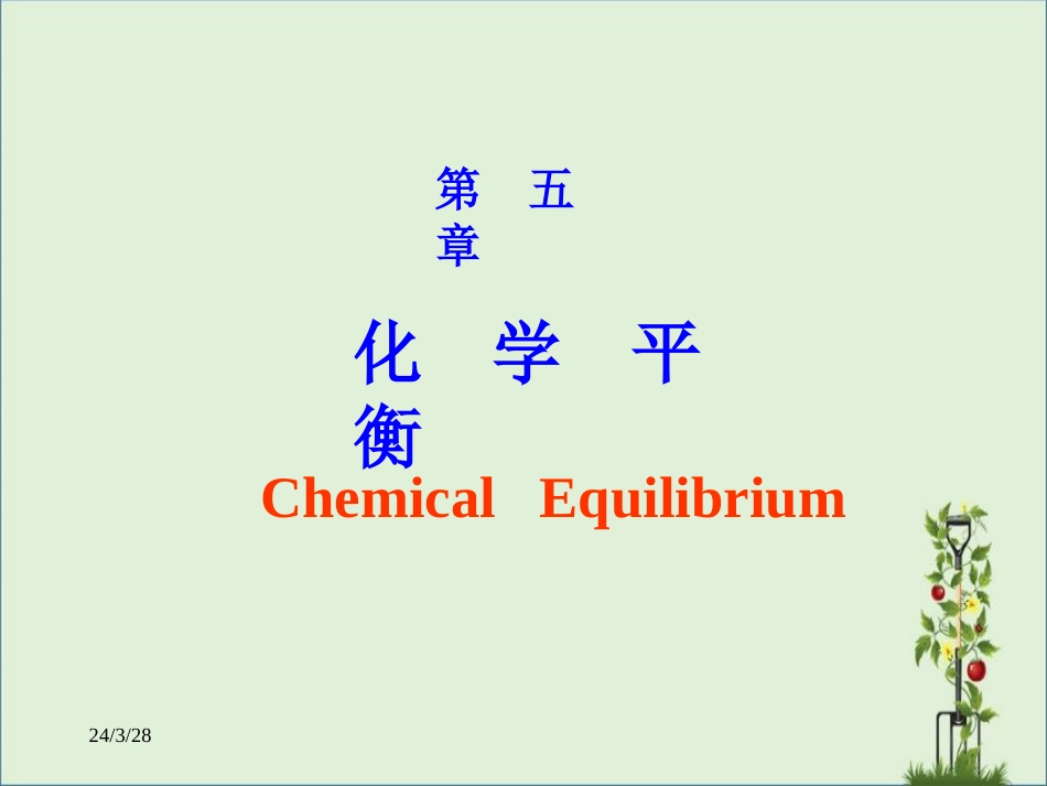 05章化学平衡课件_第2页