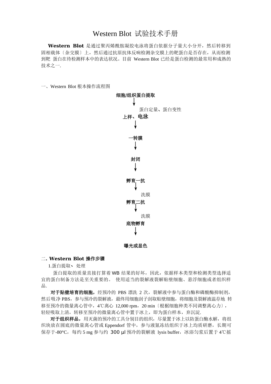 WesternBlot实验实用技术手册_第1页