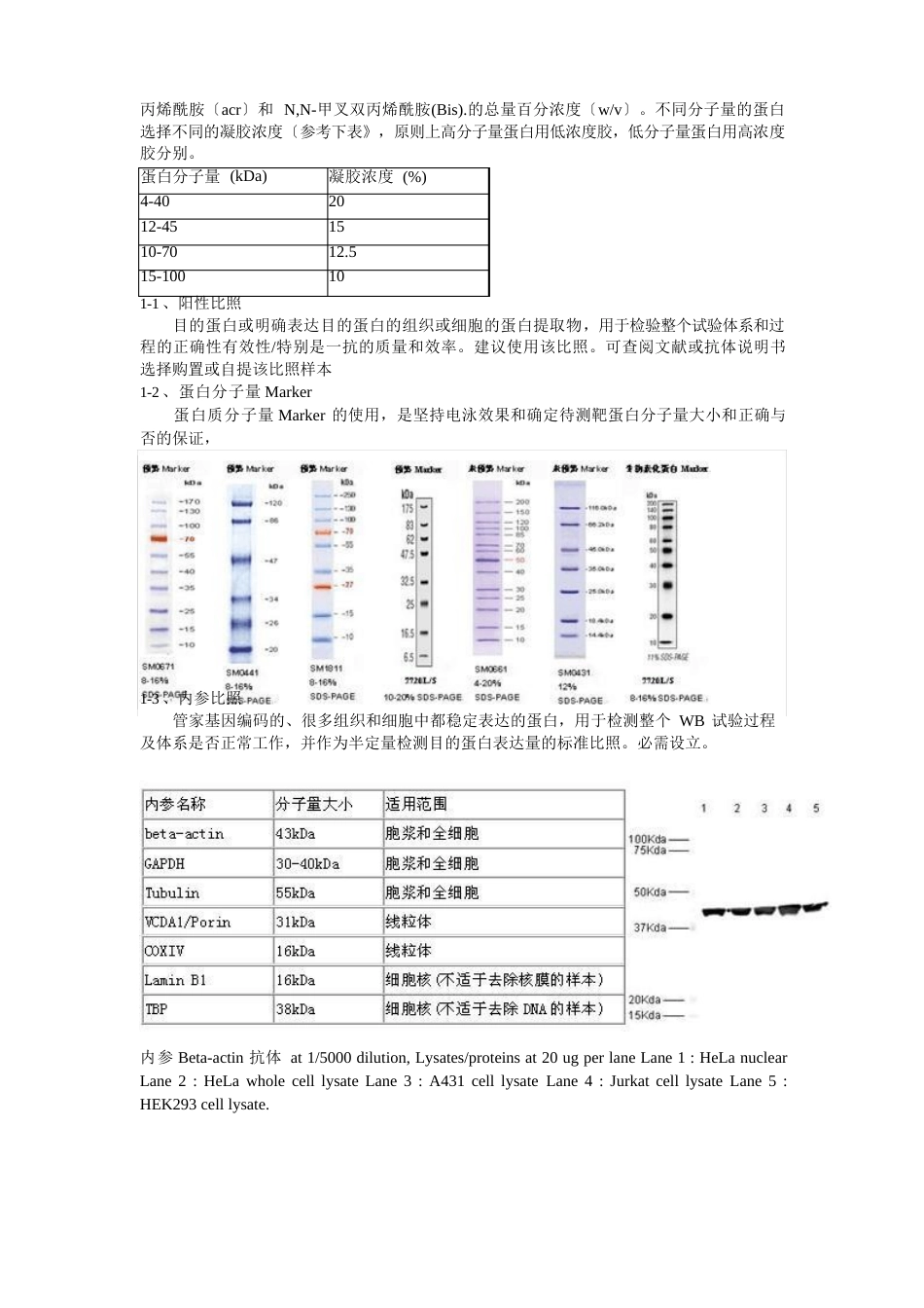 WesternBlot实验实用技术手册_第3页