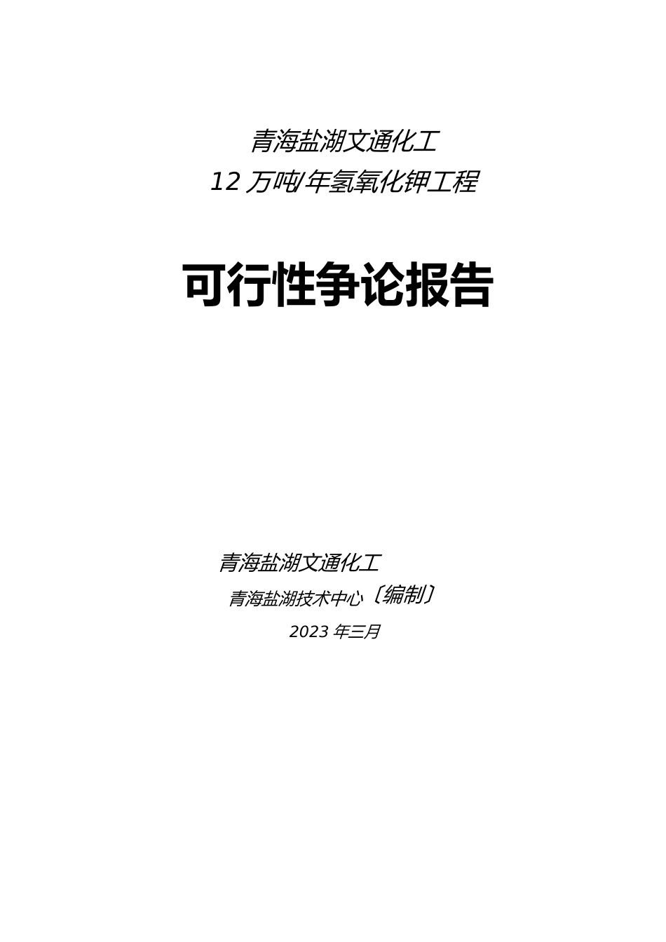 12吨氢氧化钾可行性研究报告_第1页