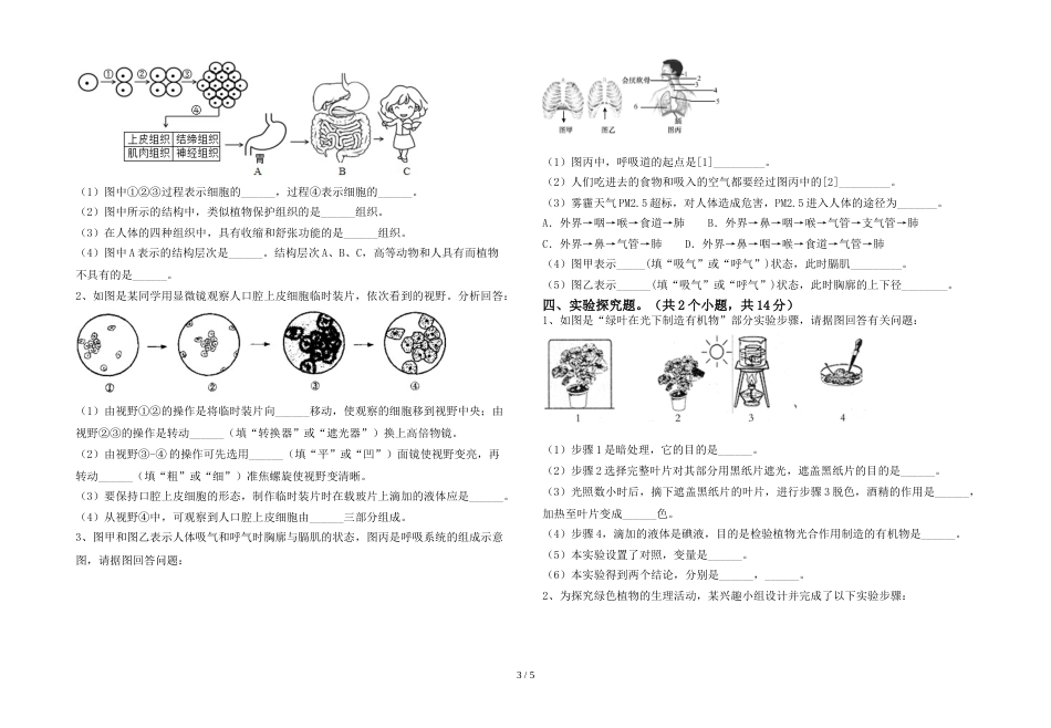 2023年人教版七年级上册《生物》期末测试卷及答案【审定版】_第3页