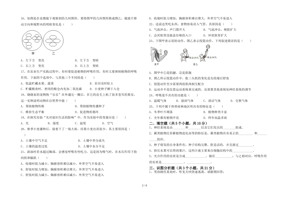 2023年人教版七年级上册《生物》期末考试卷附答案_第2页