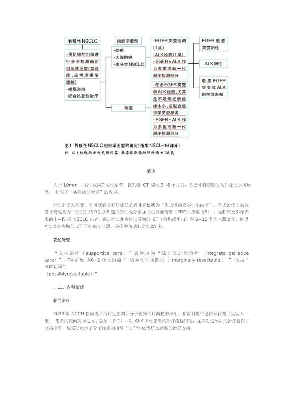 2023年NSCLC指南更新解读_第2页
