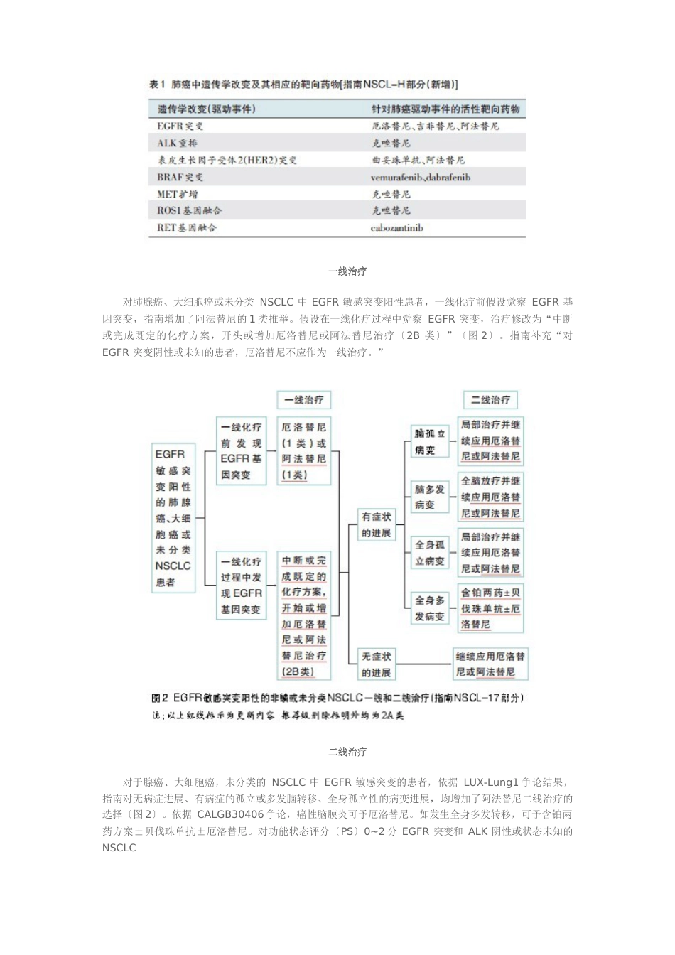 2023年NSCLC指南更新解读_第3页