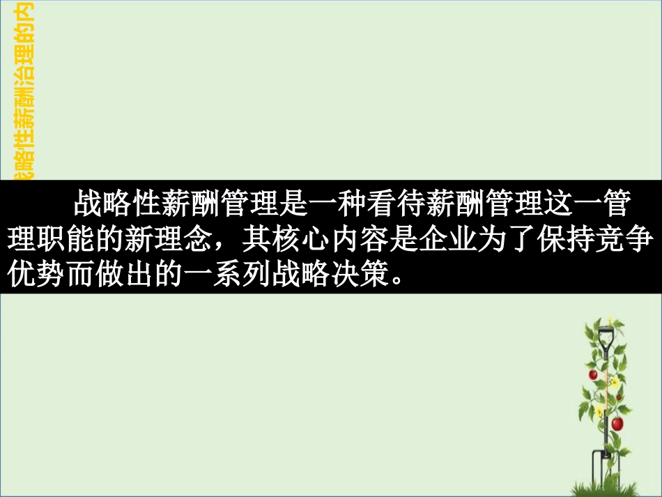 003-HR薪酬必学之经典《华为公司战略薪酬管理及案例分析》_第2页