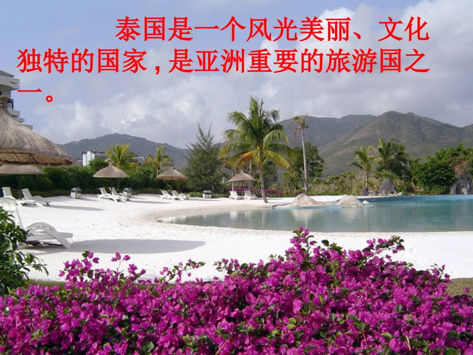 《与象共舞》剖析_第1页