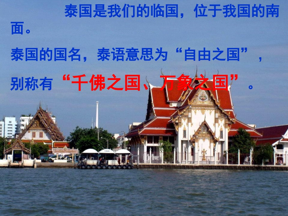 《与象共舞》剖析_第2页