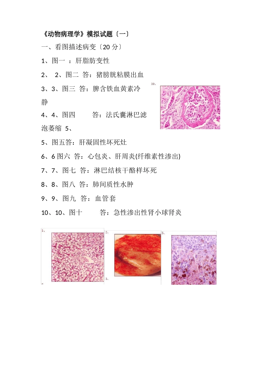 《动物病理学》1模拟试题6套_第1页