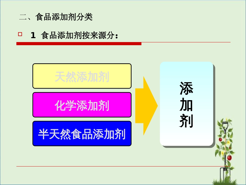 02-《精细化工概论》PPT-第二章-食品添加剂解析_第3页