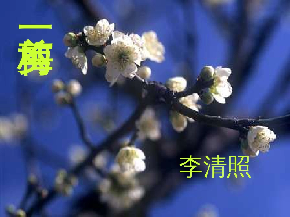 《一剪梅-李清照》ppt课件剖析_第1页