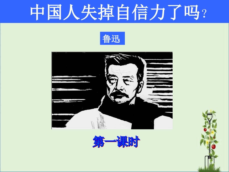 《中国人失掉自信力了吗》两课时课件_第1页