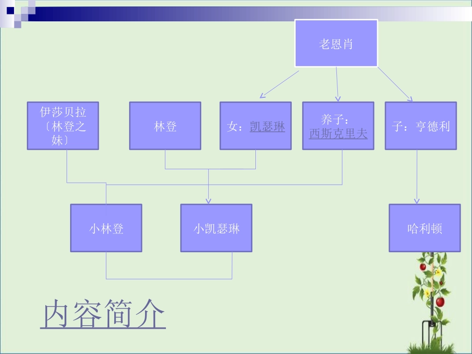 《呼啸山庄》ppt课件_第3页