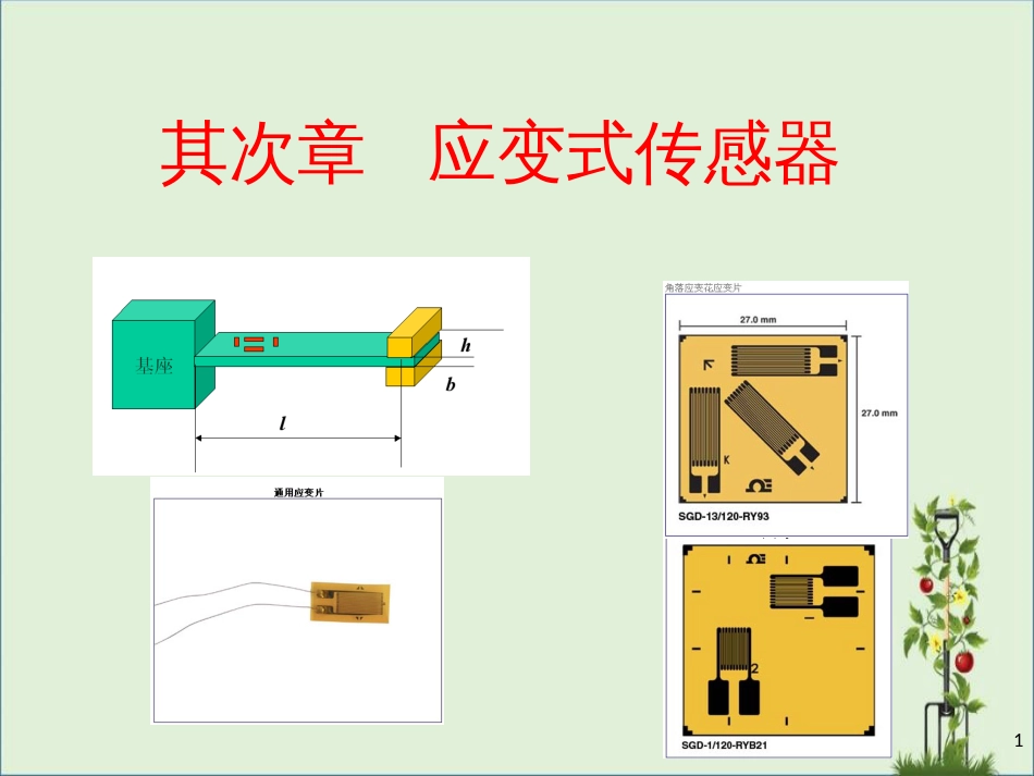 02-应变电阻-16解析_第1页