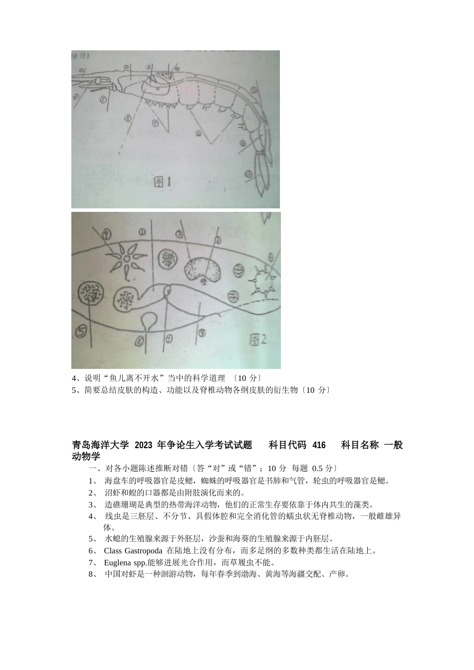 2023年2023年416普通动物学与普通生态学考研真题(分版排列部分有答案)_第3页